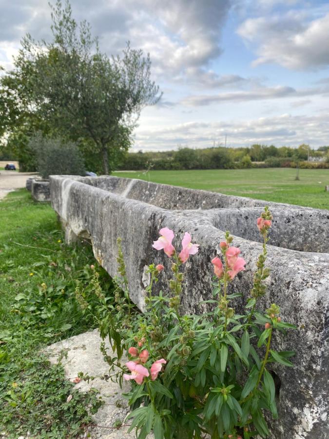 Domaine De La Laigne - Spa Asnières-la-Giraud المظهر الخارجي الصورة