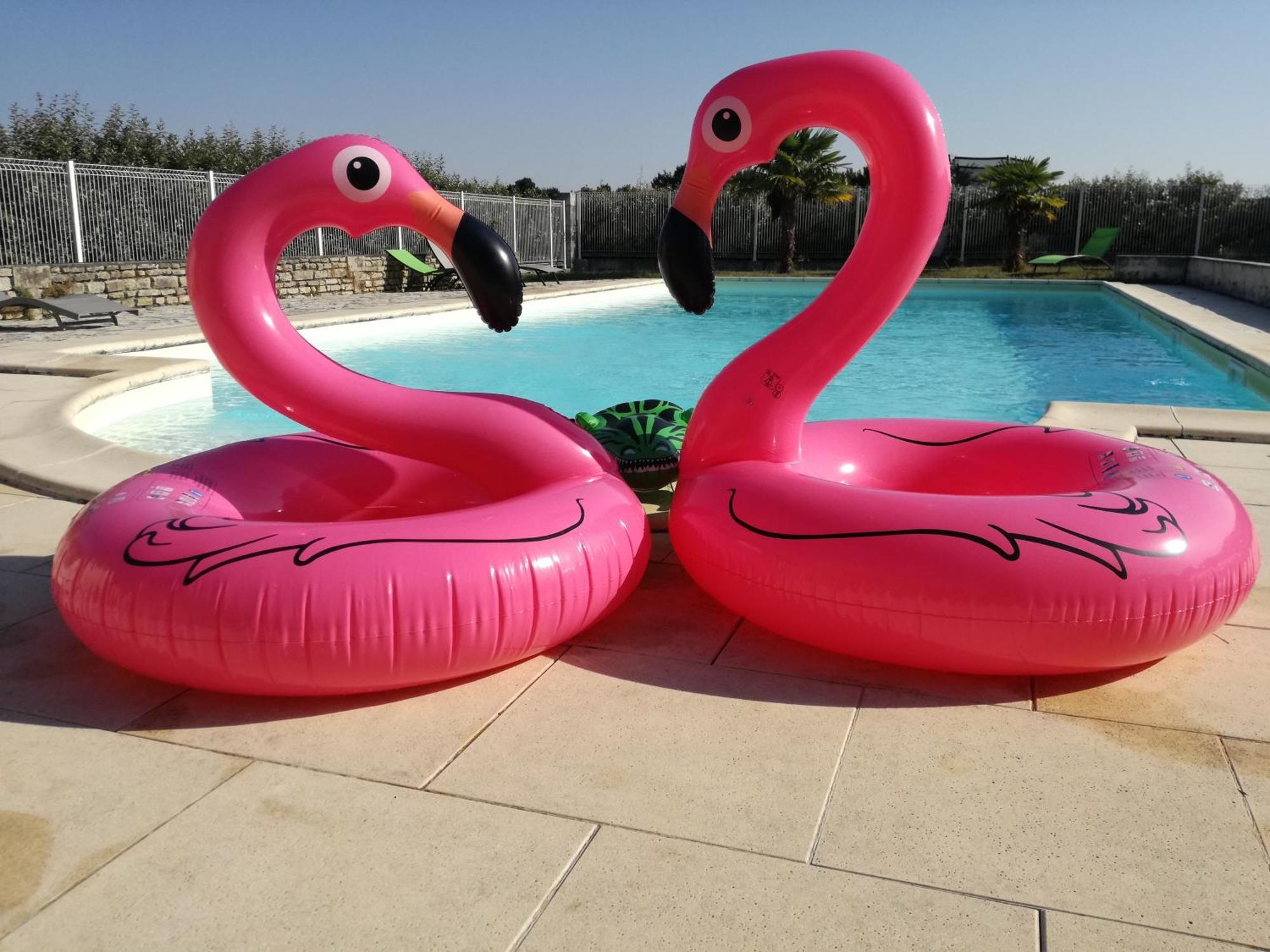 Domaine De La Laigne - Spa Asnières-la-Giraud المظهر الخارجي الصورة